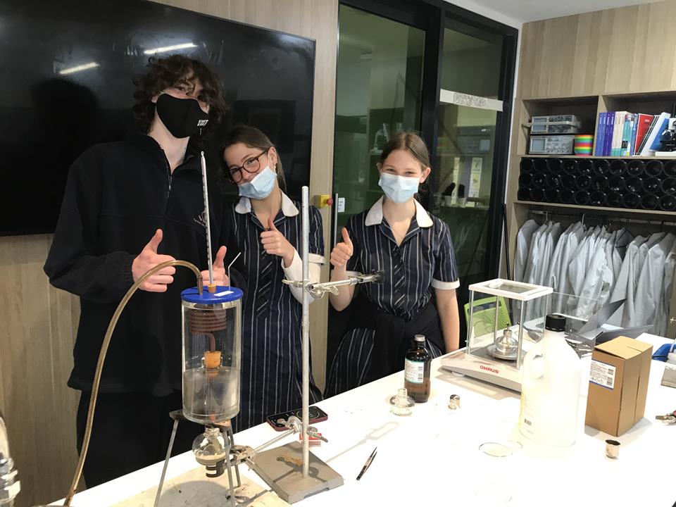 Students performing chemistry experiment