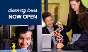Discover the King David senior school