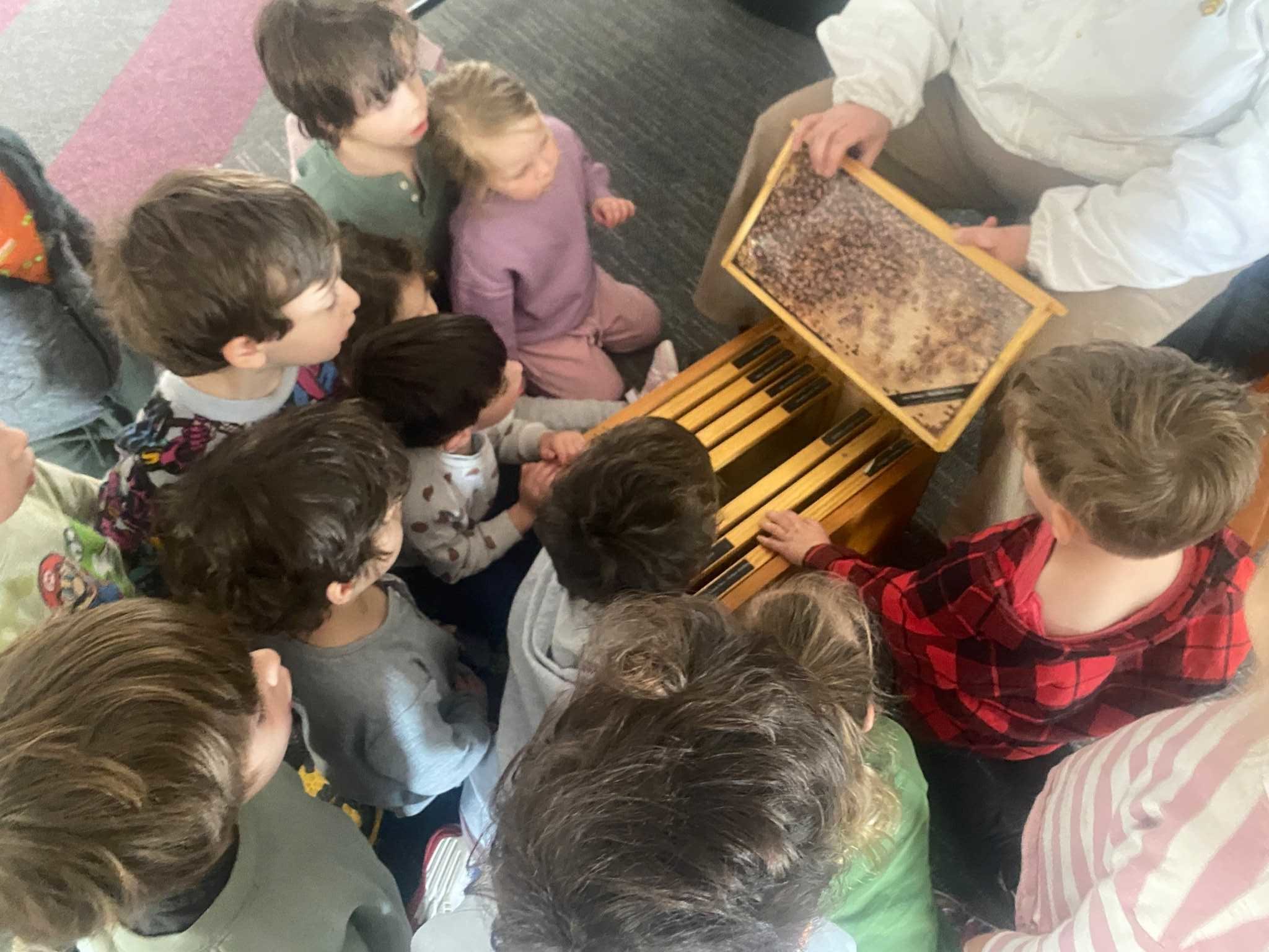 ELC students crowd around a live bee hive as they learn about bees before Rosh HaShanah.