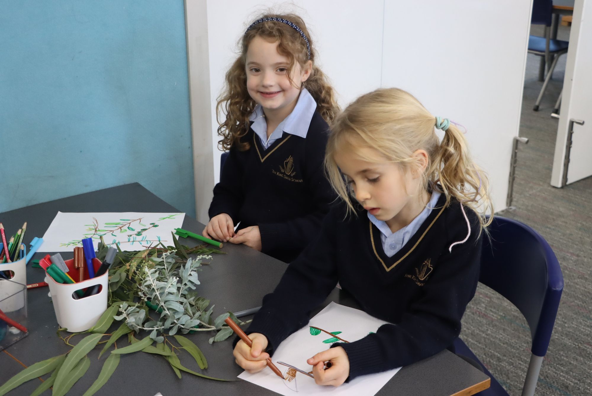 Two Junior School students are drawing indigenous plants, copying their shape and colour from plants on the desk. They are learning about First Nations use of plants as part of Reconciliation Week.