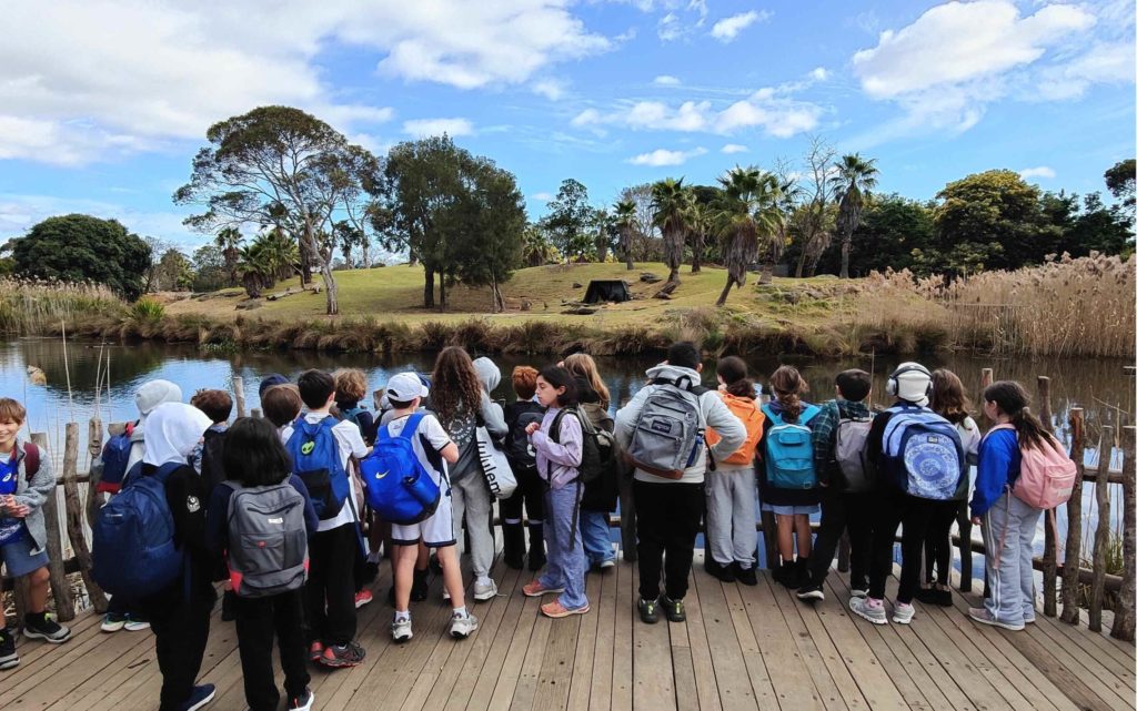 Year 4 students are facing water and animals at Werribee Zoo. They have their backs to the camera. They are applying their knowledge of African ecosystems gained in Integrated English.