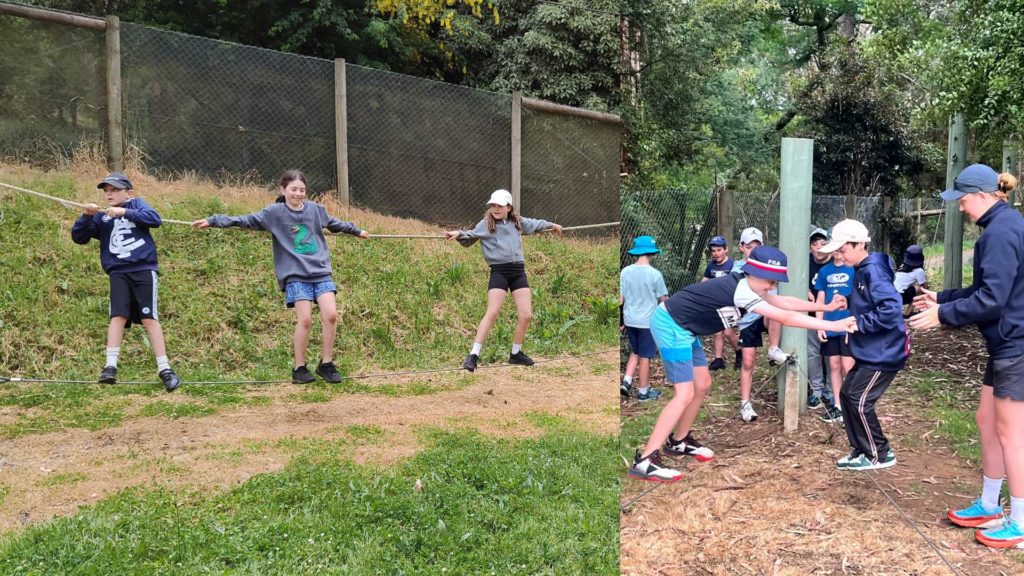 Year 4 students are on the ropes course at camp. They are looking down, concentrating on the ropes.