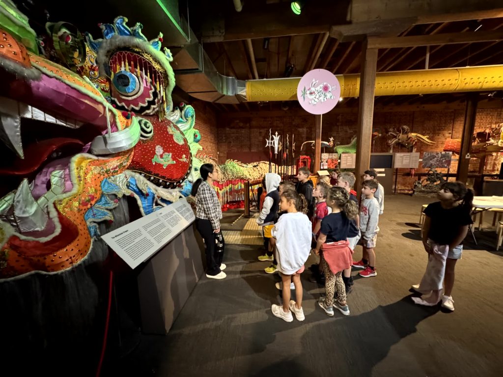 Year 2 students are at the Chinese Museum. they are learning about Lunar New Year and admiring a colourful dragon.