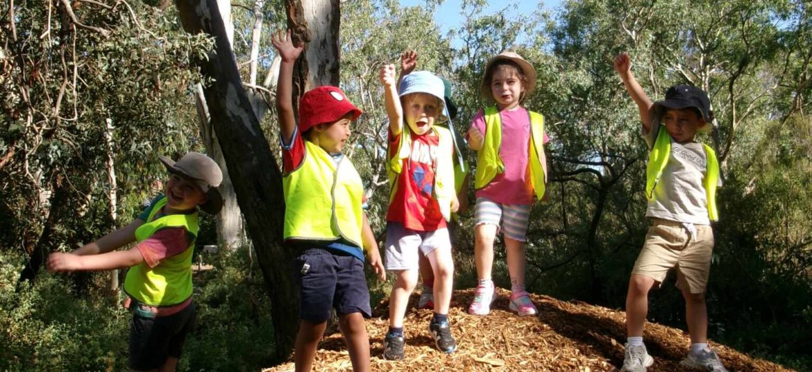 Senior Kinder students are standing on a small hill at Bush Kinder. They are wearing fluro vests. They are playing on a bed of sticks and dirt under the trees.