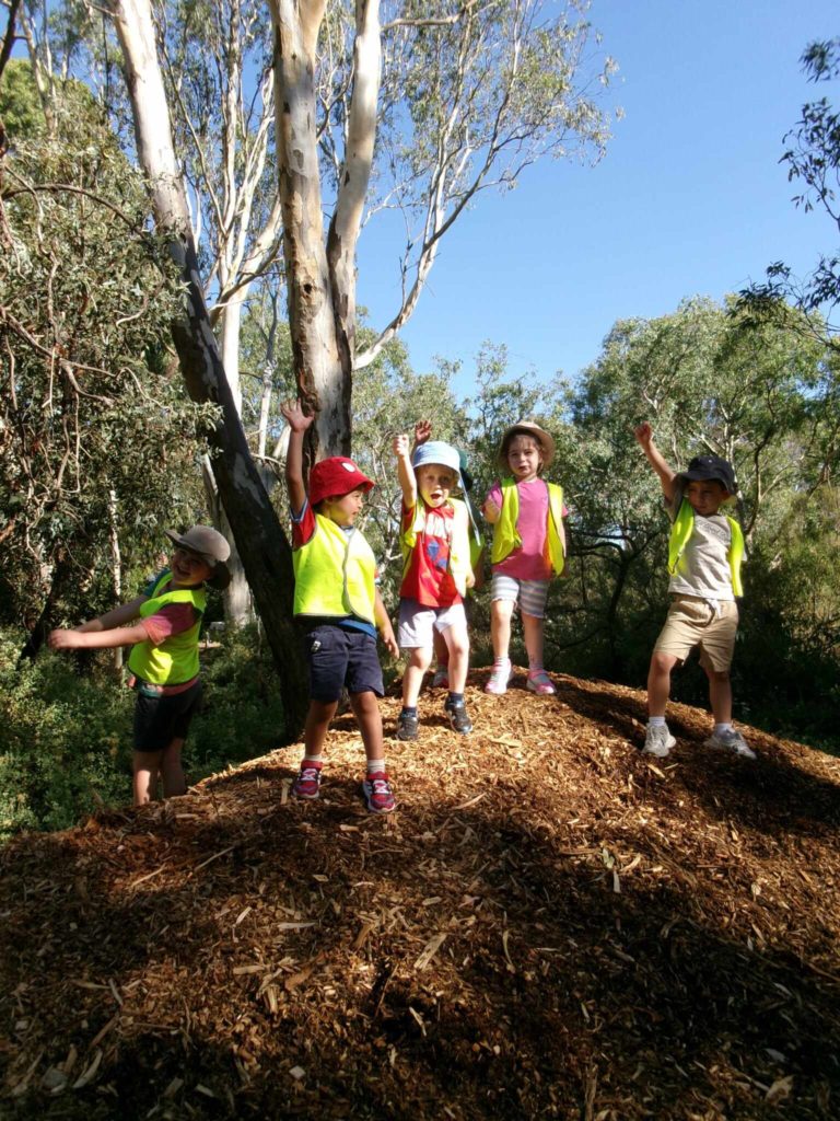 Senior Kinder students are standing on a small hill at Bush Kinder. They are wearing fluro vests. They are playing on a bed of sticks and dirt under the trees.