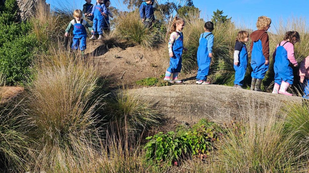ELC children are outside in tall grass, on a hill, at Bush Kinder. They are wearing blue overalls and are excited to be learning in nature.