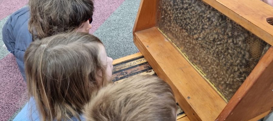 ELc students learn about bees in time for Rosh HaShanah