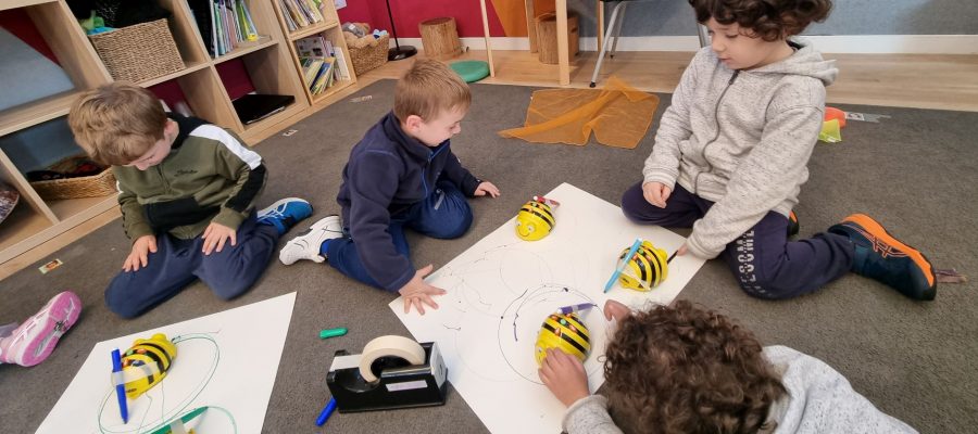 Rosh HaShanah bees in the ELC