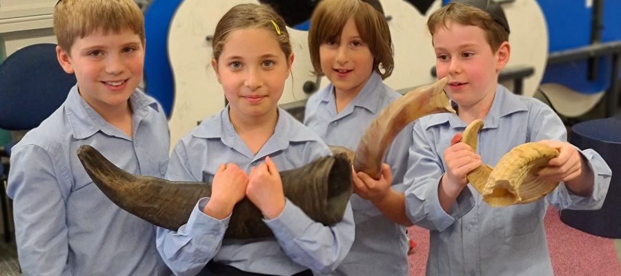 Four students look at the camera holding Shofars that they have made