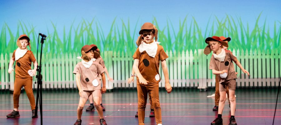 The Dog Show - Prep to Year 2 Production