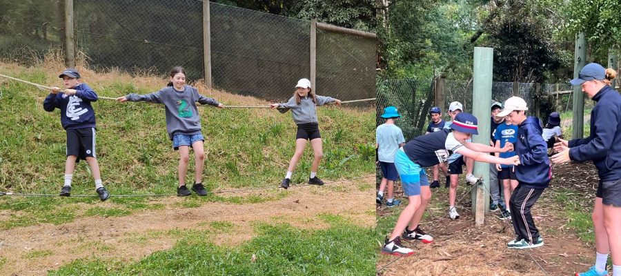 Year 4 students are on the ropes course at camp. They are looking down, concentrating on the ropes.